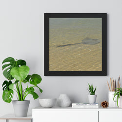 Tranquil Stingray Framed Horizontal Poster - Ocean Wall Art for Beach Lovers