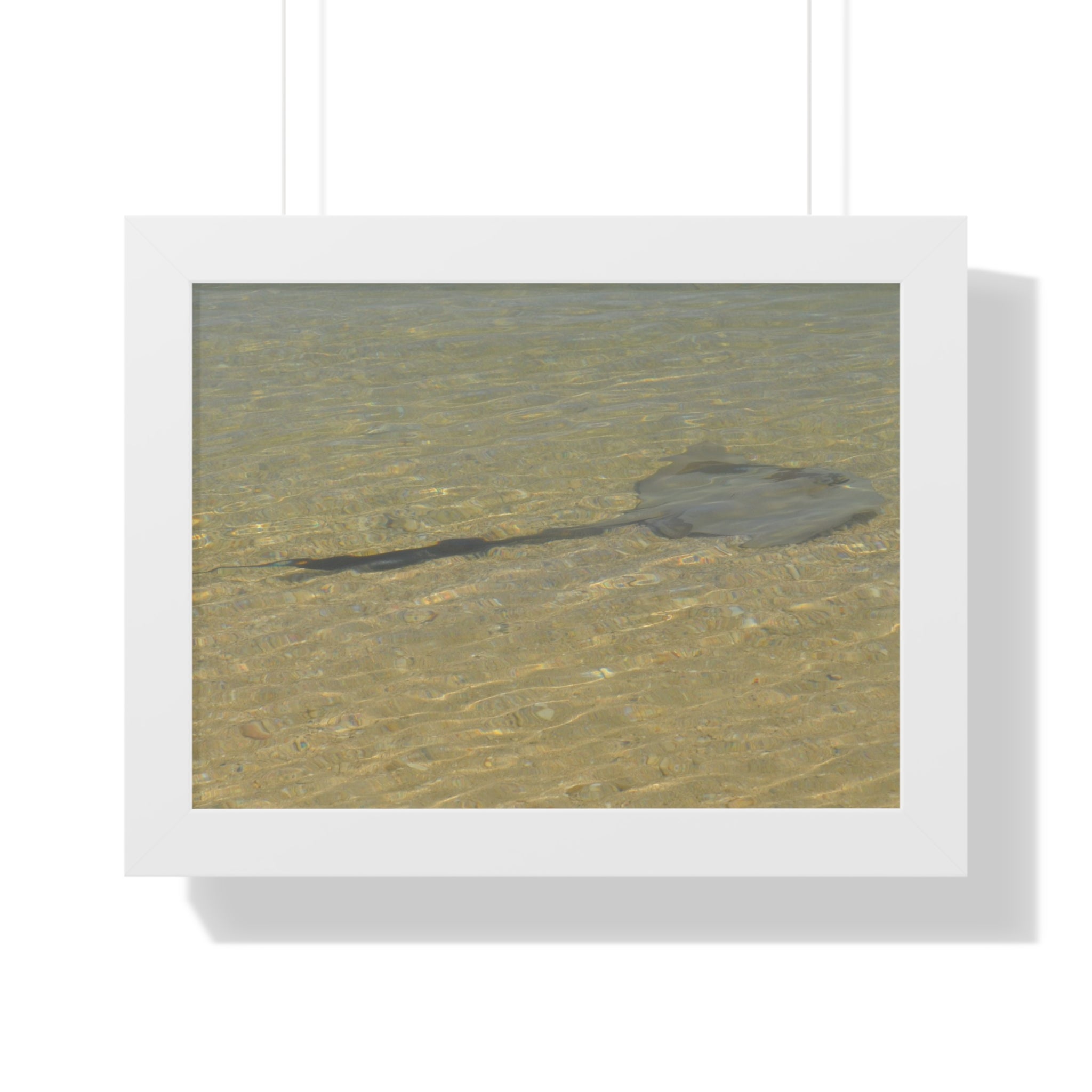 Tranquil Stingray Framed Horizontal Poster - Ocean Wall Art for Beach Lovers