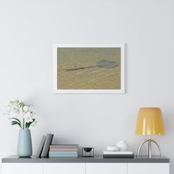 Tranquil Stingray Framed Horizontal Poster - Ocean Wall Art for Beach Lovers