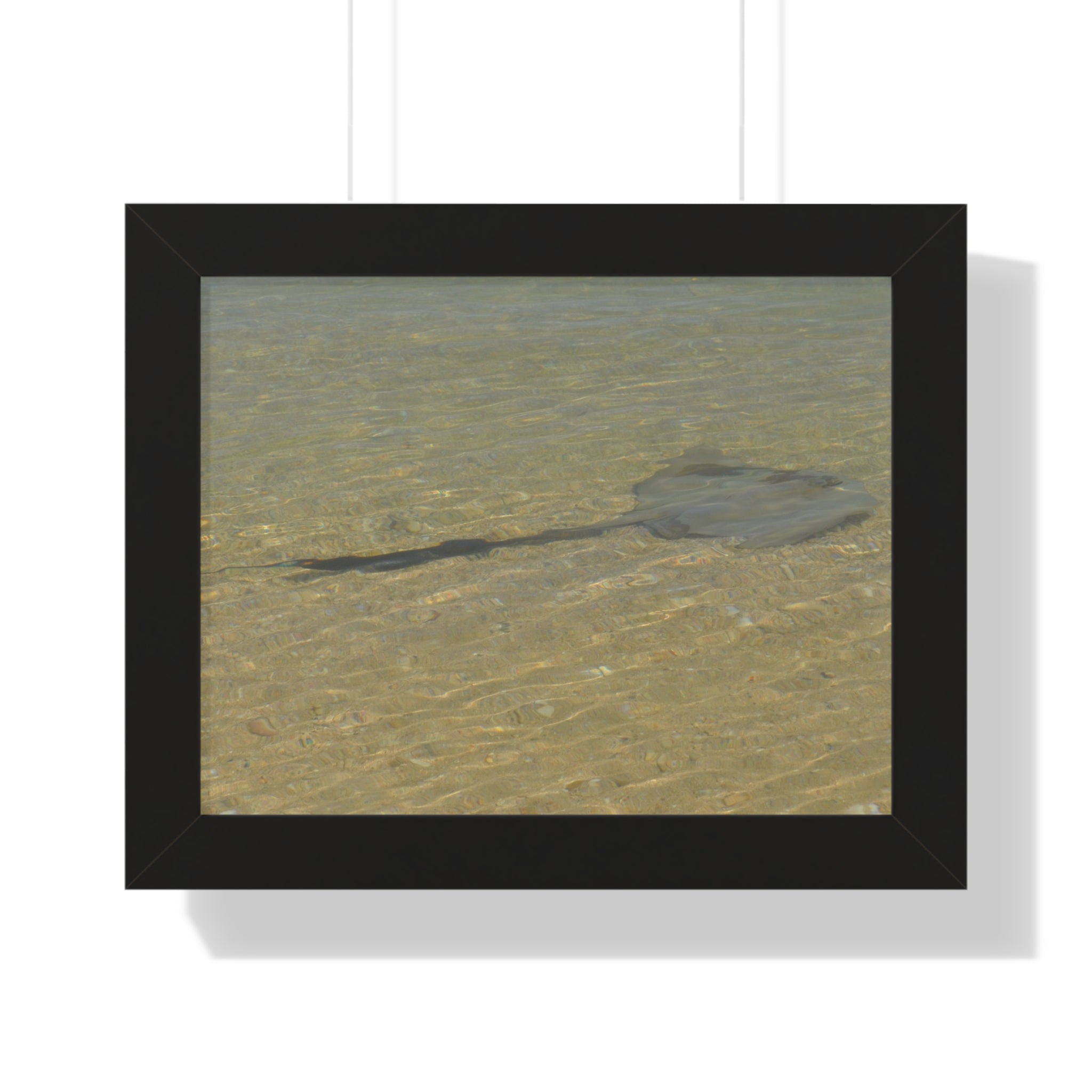 Tranquil Stingray Framed Horizontal Poster - Ocean Wall Art for Beach Lovers