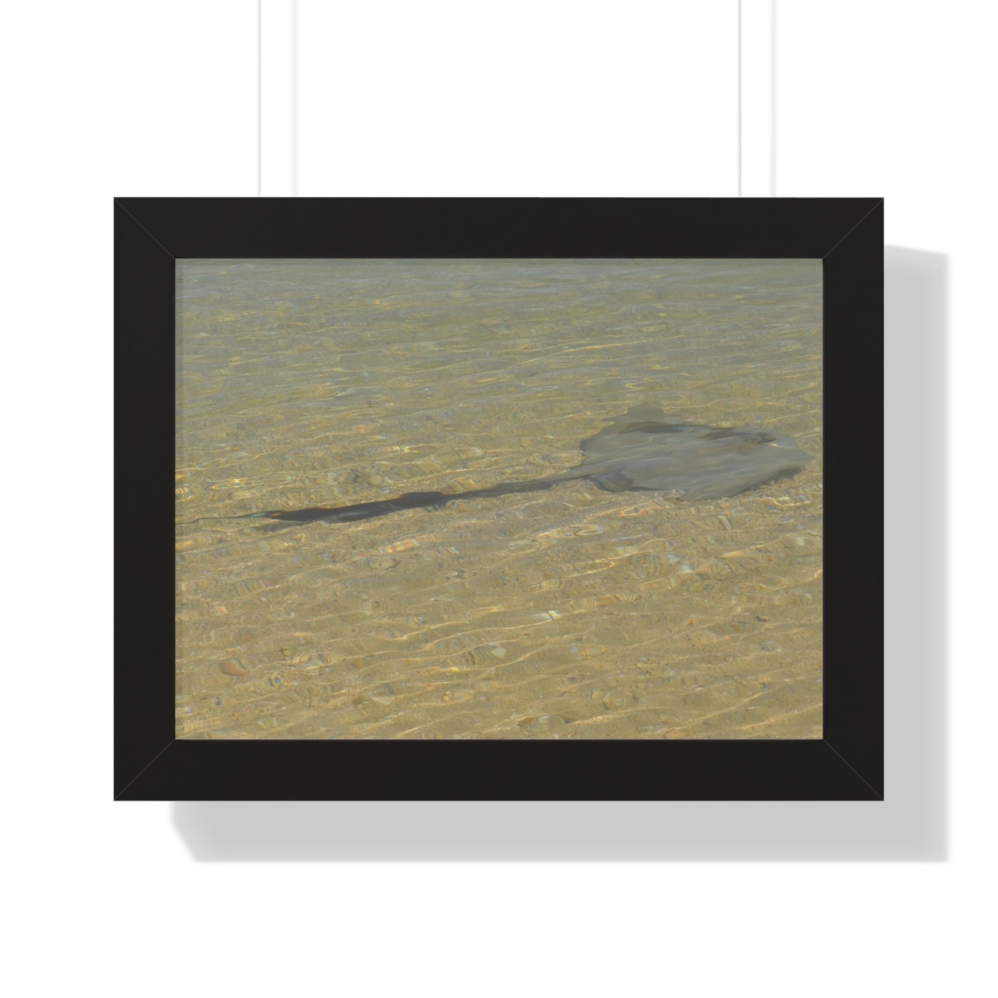 Tranquil Stingray Framed Horizontal Poster - Ocean Wall Art for Beach Lovers