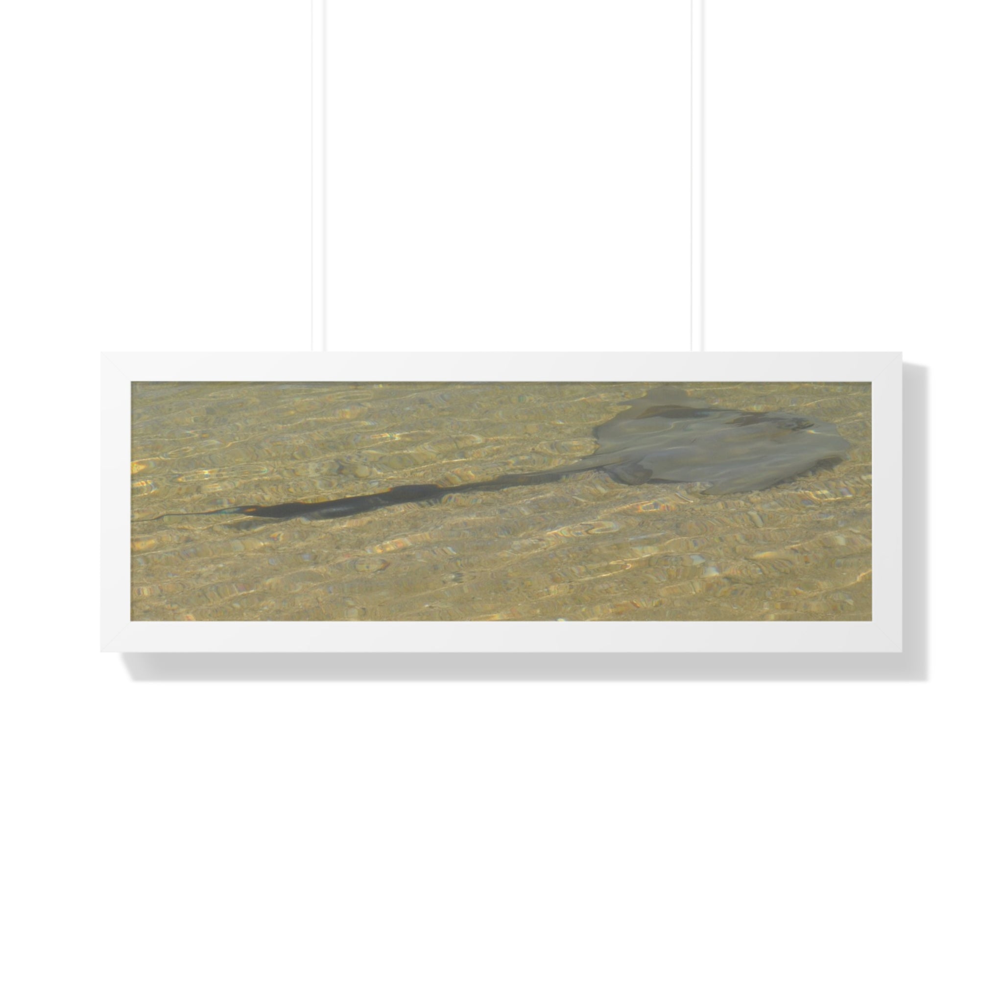 Tranquil Stingray Framed Horizontal Poster - Ocean Wall Art for Beach Lovers