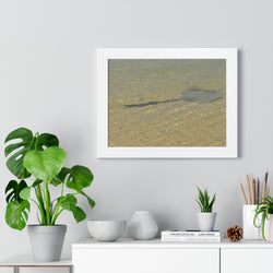 Tranquil Stingray Framed Horizontal Poster - Ocean Wall Art for Beach Lovers