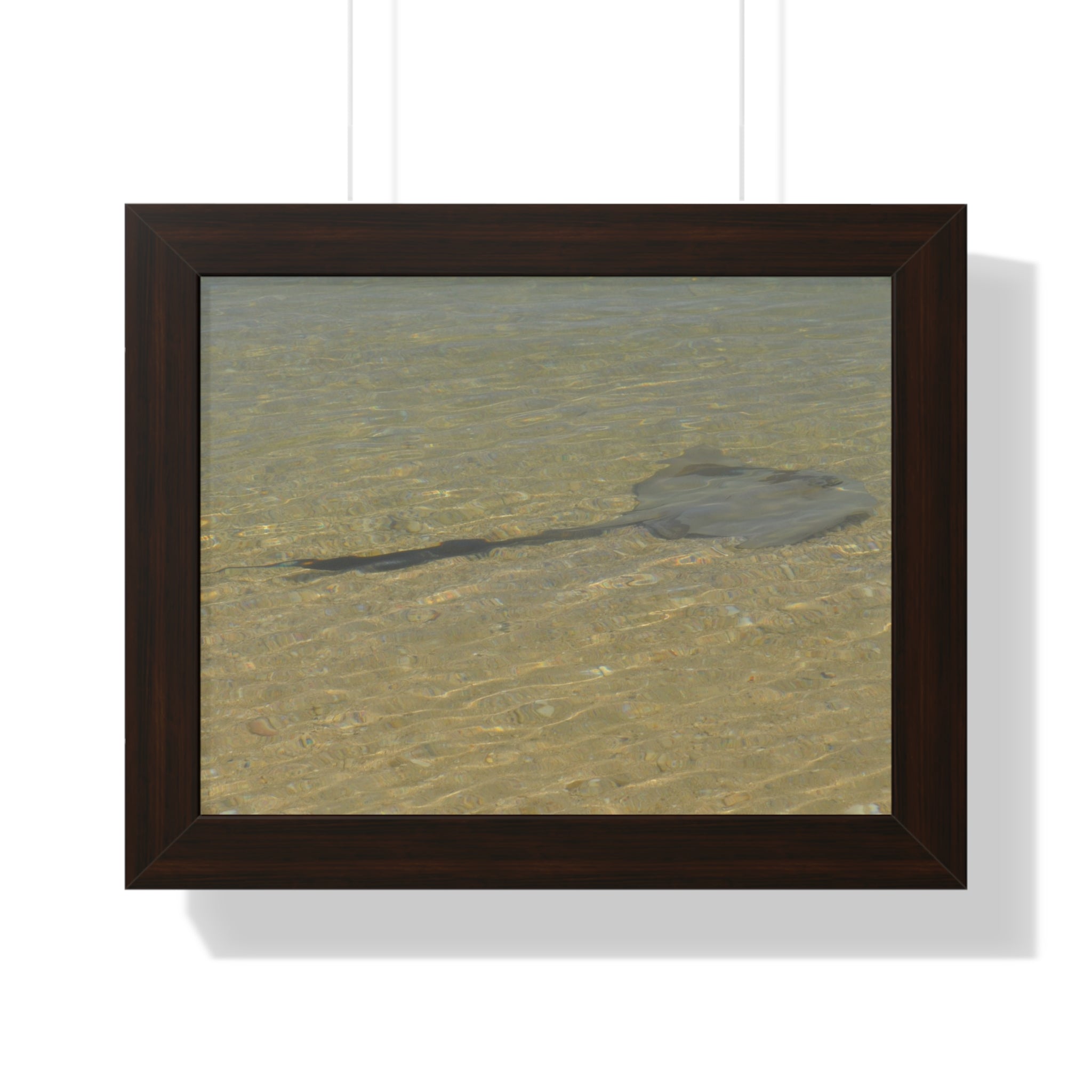 Tranquil Stingray Framed Horizontal Poster - Ocean Wall Art for Beach Lovers