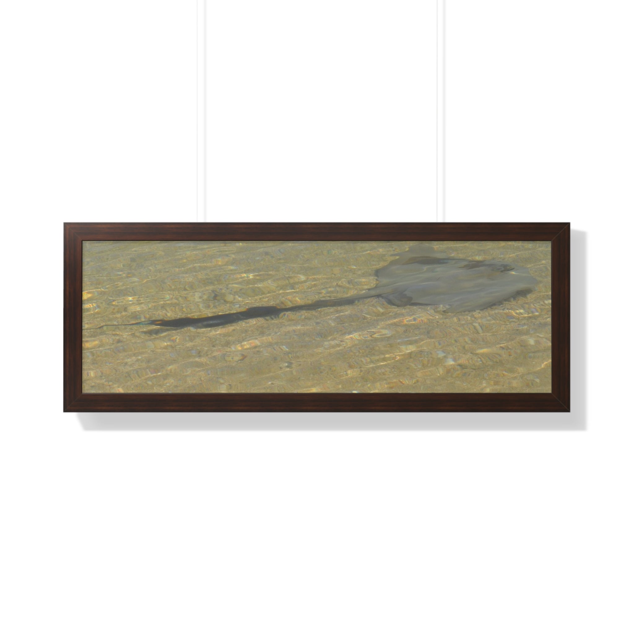 Tranquil Stingray Framed Horizontal Poster - Ocean Wall Art for Beach Lovers