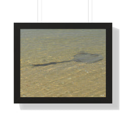 Tranquil Stingray Framed Horizontal Poster - Ocean Wall Art for Beach Lovers