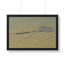 Tranquil Stingray Framed Horizontal Poster - Ocean Wall Art for Beach Lovers