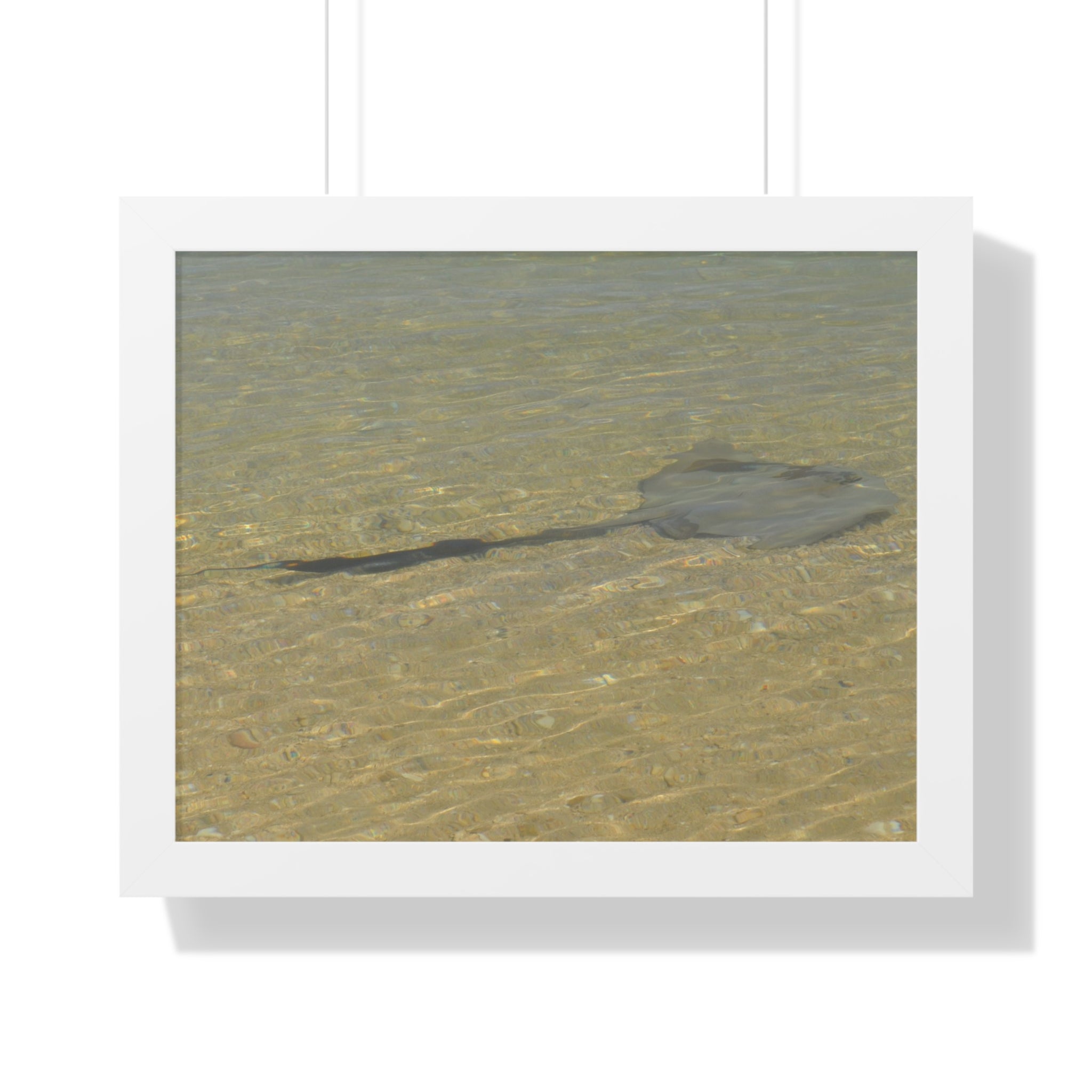 Tranquil Stingray Framed Horizontal Poster - Ocean Wall Art for Beach Lovers