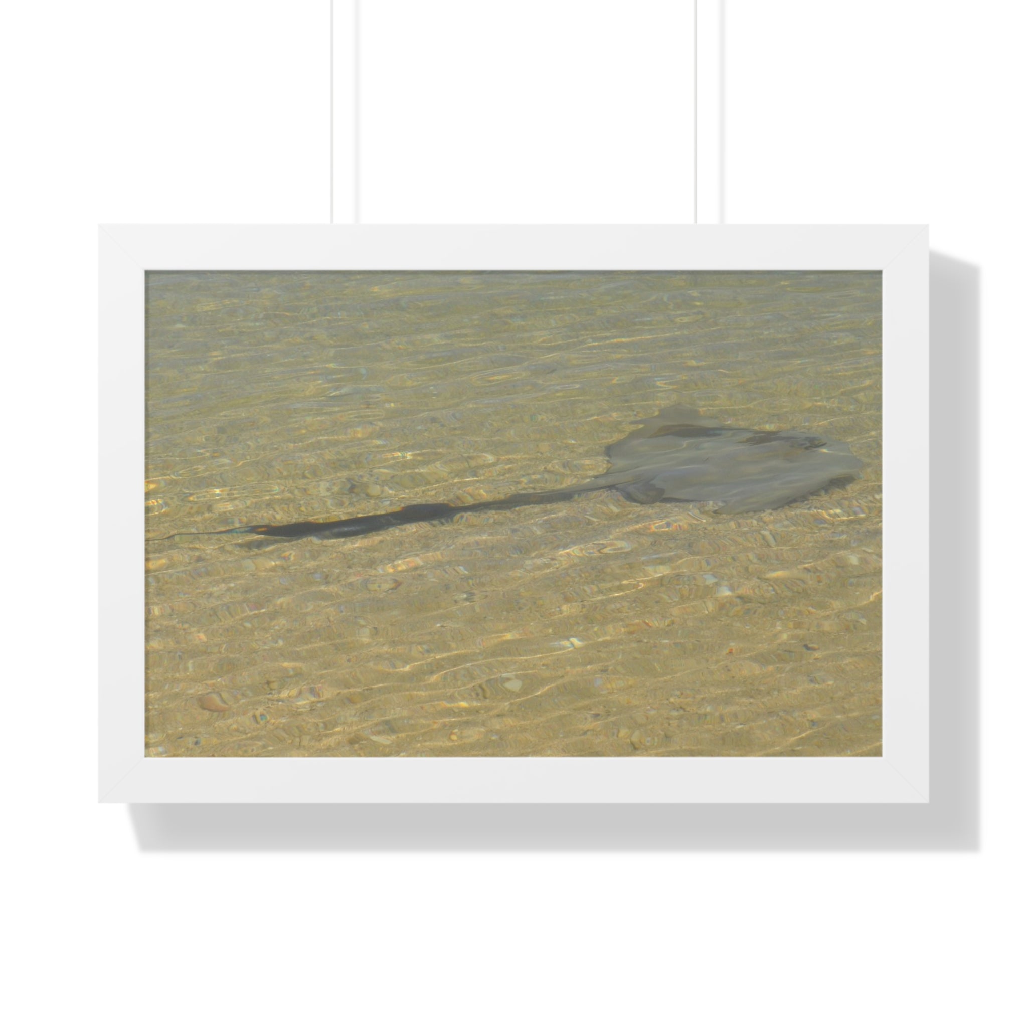 Tranquil Stingray Framed Horizontal Poster - Ocean Wall Art for Beach Lovers