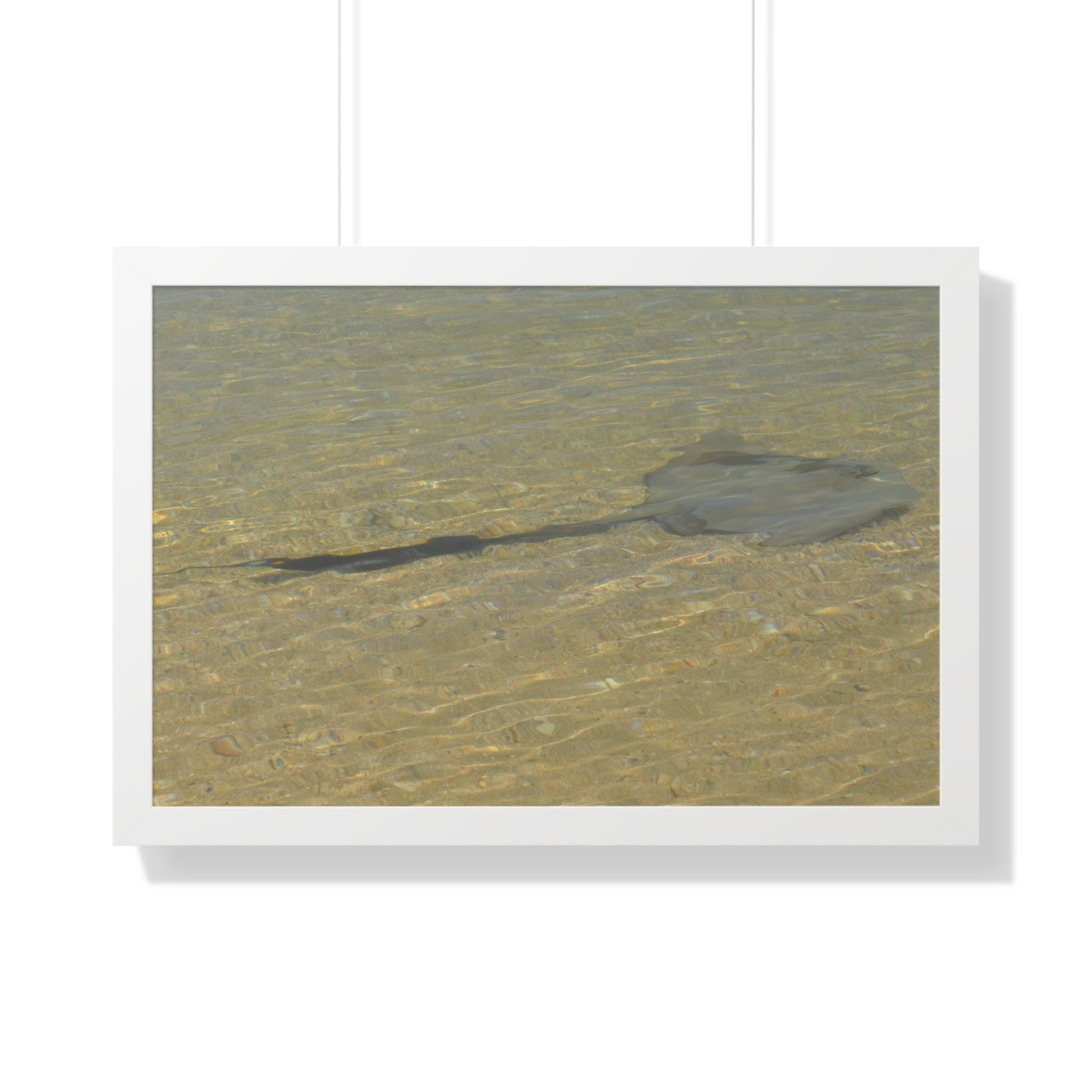 Tranquil Stingray Framed Horizontal Poster - Ocean Wall Art for Beach Lovers