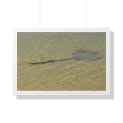 Tranquil Stingray Framed Horizontal Poster - Ocean Wall Art for Beach Lovers