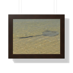 Tranquil Stingray Framed Horizontal Poster - Ocean Wall Art for Beach Lovers