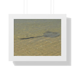 Tranquil Stingray Framed Horizontal Poster - Ocean Wall Art for Beach Lovers