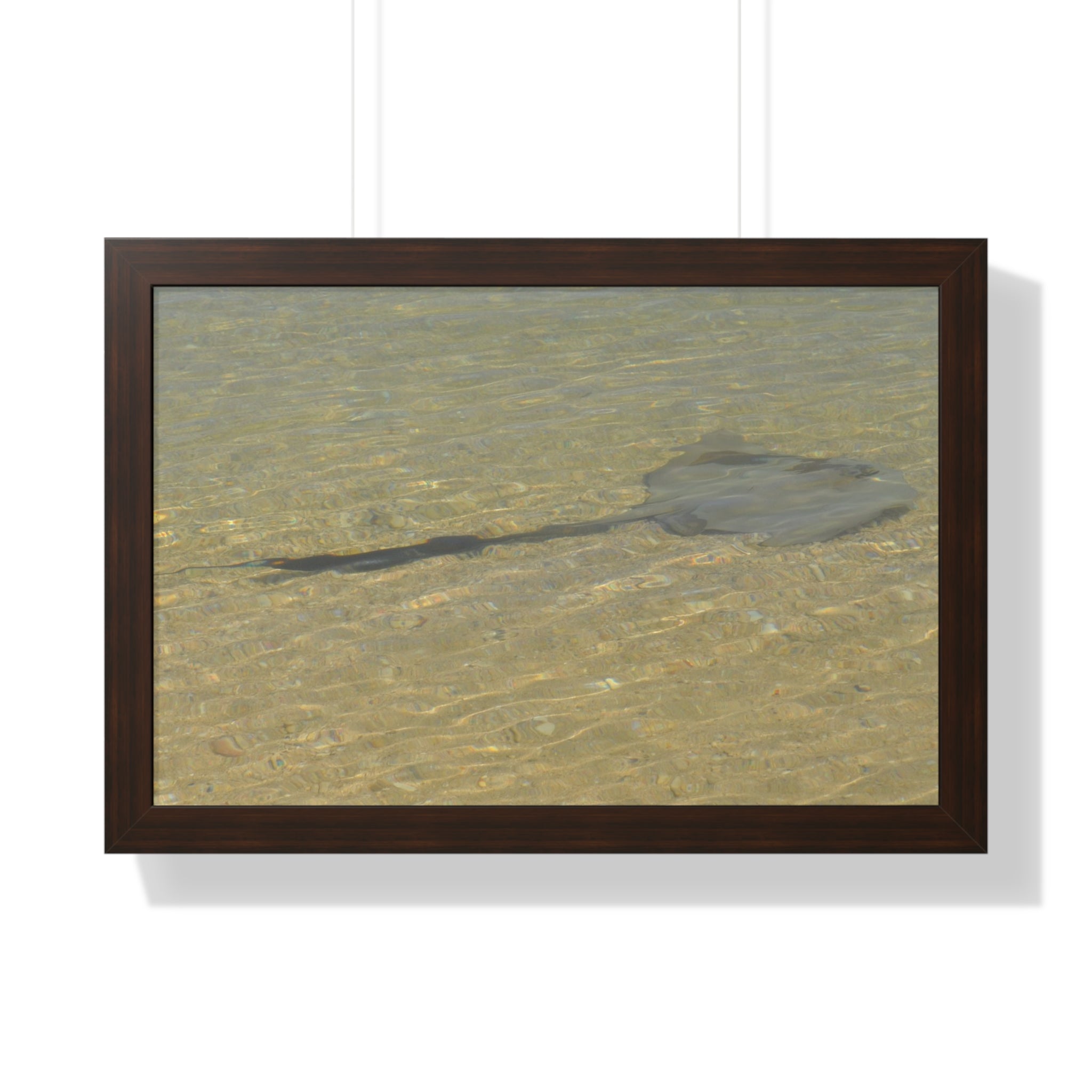 Tranquil Stingray Framed Horizontal Poster - Ocean Wall Art for Beach Lovers