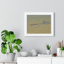 Tranquil Stingray Framed Horizontal Poster - Ocean Wall Art for Beach Lovers