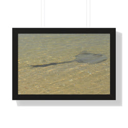 Tranquil Stingray Framed Horizontal Poster - Ocean Wall Art for Beach Lovers