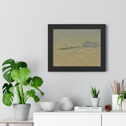 Tranquil Stingray Framed Horizontal Poster - Ocean Wall Art for Beach Lovers