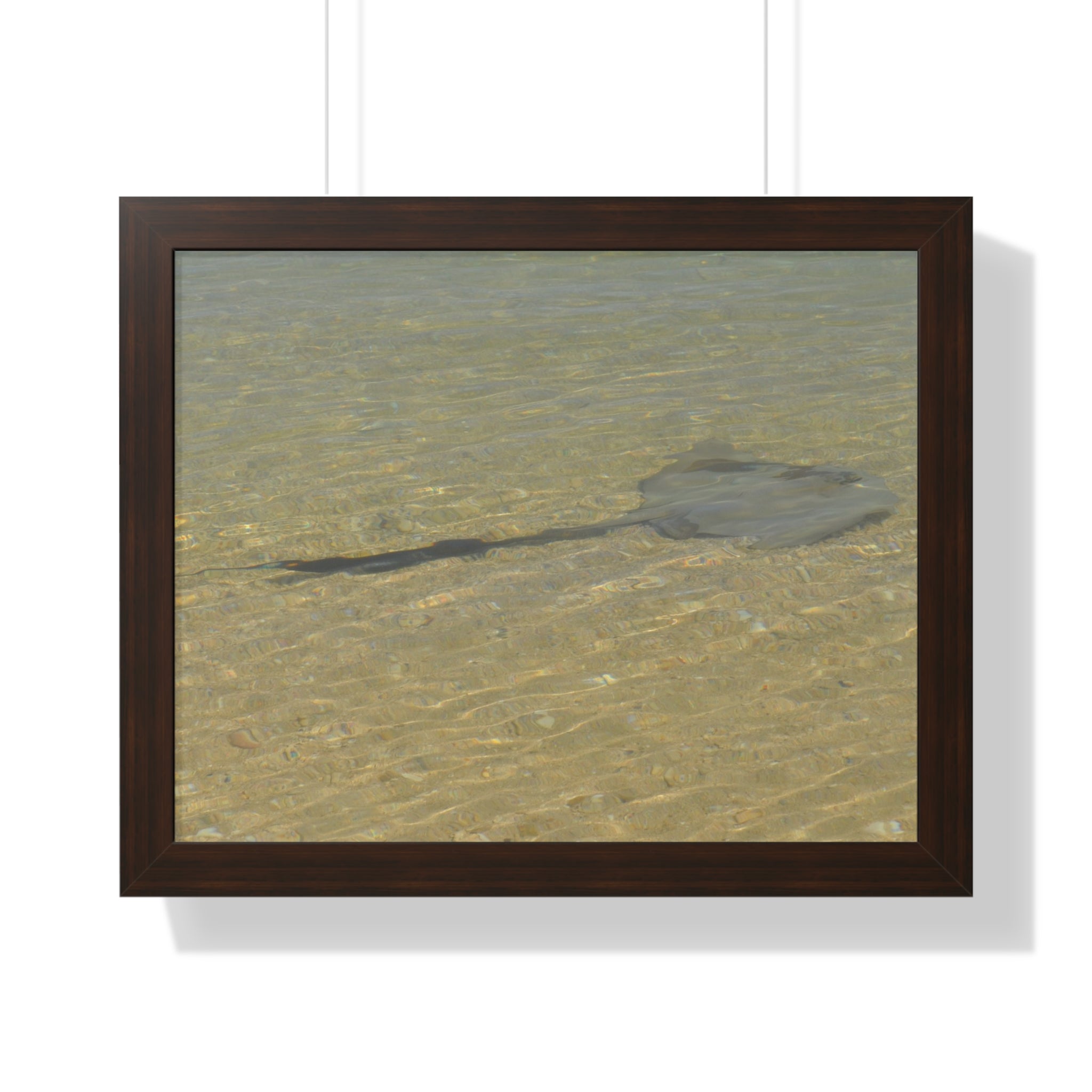 Tranquil Stingray Framed Horizontal Poster - Ocean Wall Art for Beach Lovers