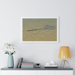 Tranquil Stingray Framed Horizontal Poster - Ocean Wall Art for Beach Lovers