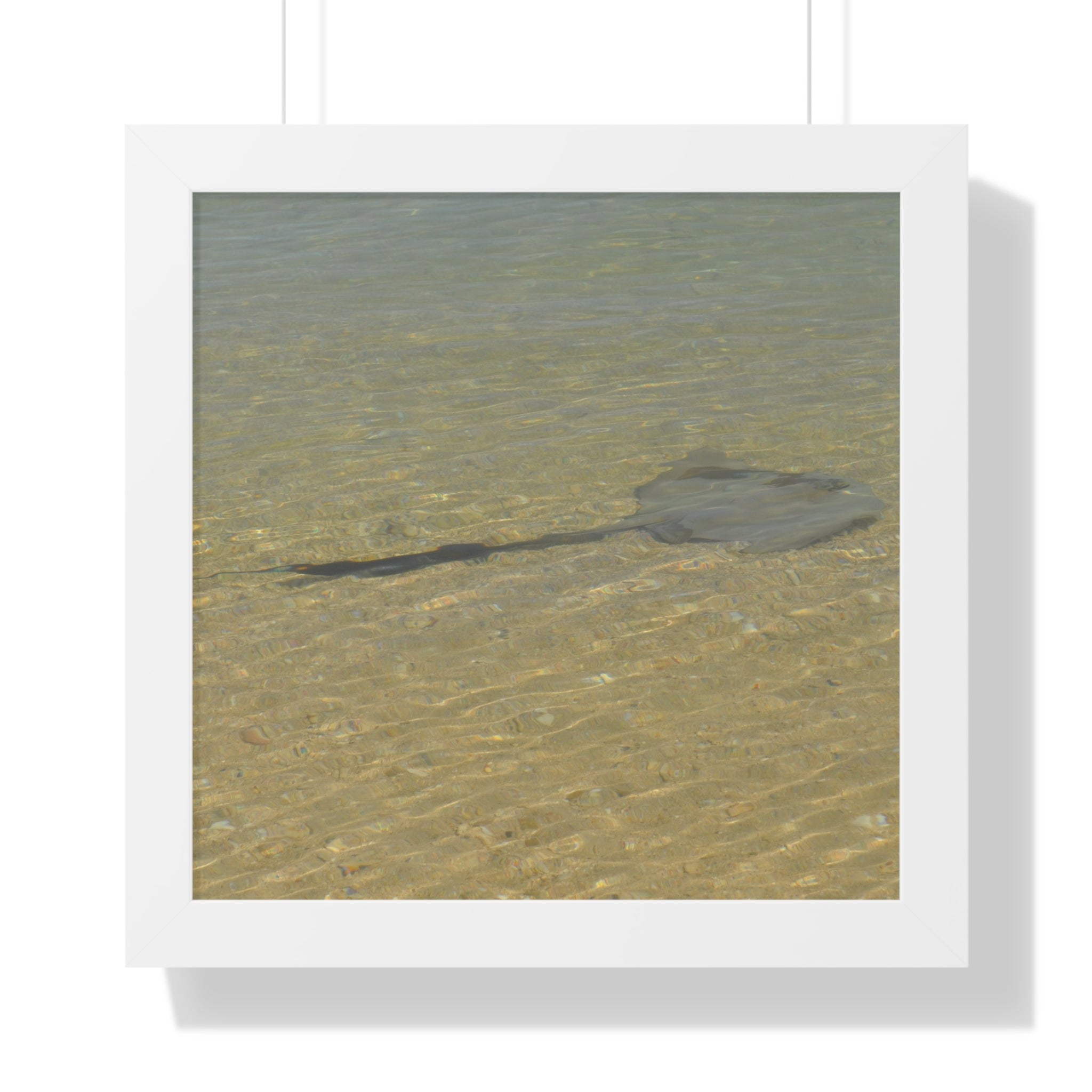 Tranquil Stingray Framed Horizontal Poster - Ocean Wall Art for Beach Lovers