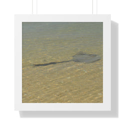 Tranquil Stingray Framed Horizontal Poster - Ocean Wall Art for Beach Lovers