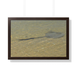 Tranquil Stingray Framed Horizontal Poster - Ocean Wall Art for Beach Lovers