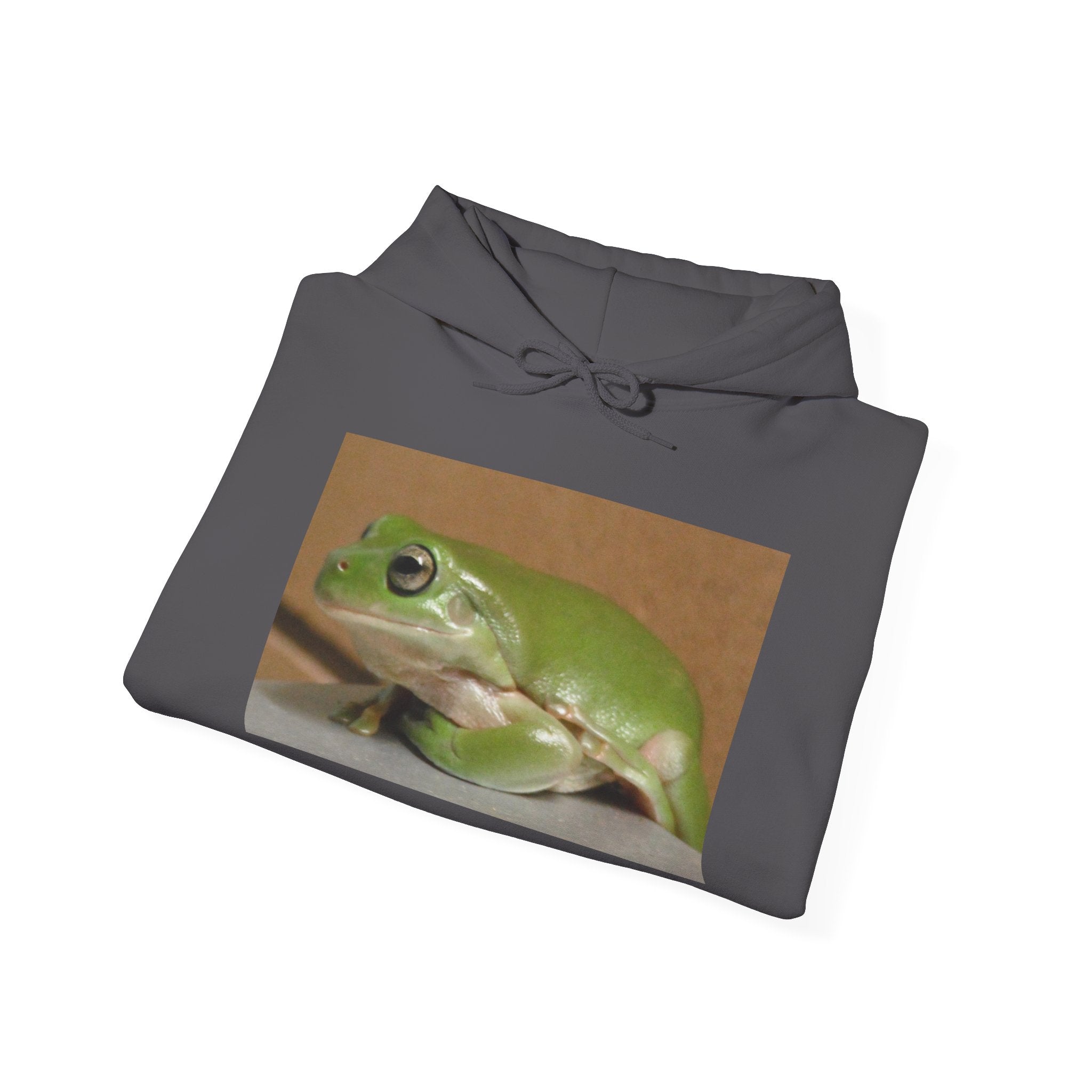 Green Tree Frog Hooded Sweatshirt