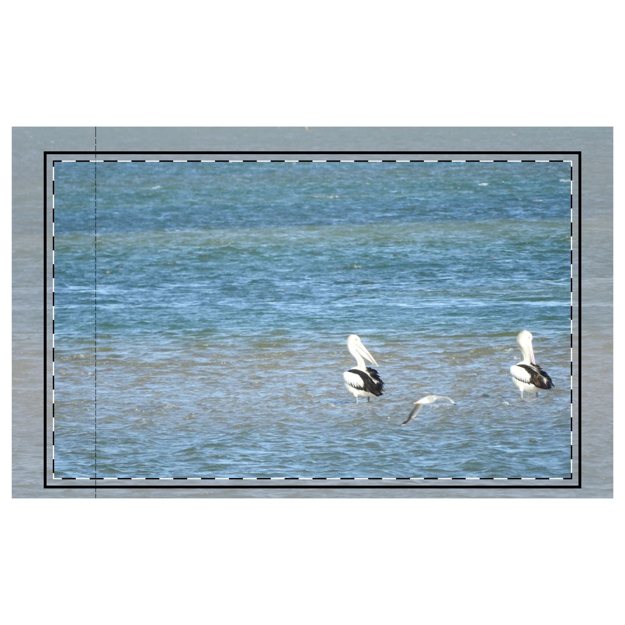 Microfiber Pillowcase - Pelican Birds Seascape